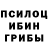 Псилоцибиновые грибы мицелий Hallowd anded