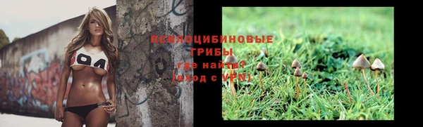 СК Горнозаводск