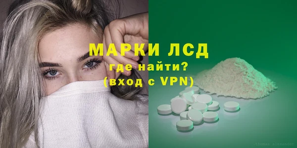 СК Горнозаводск