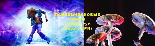 СК Горнозаводск