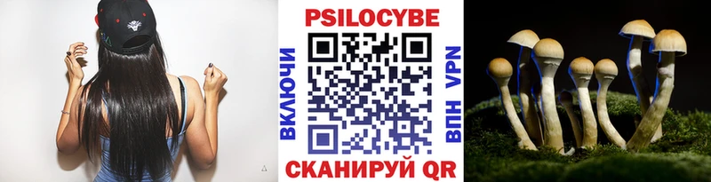 Псилоцибиновые грибы мицелий  Купить закладки  Мыски 